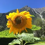 Haus Sonnwend 3* Sölden