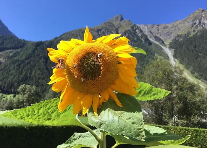 Haus Sonnwend 3* Sölden