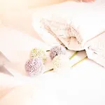 Haus Sonnwend 3* ゼルデン