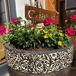 Haus Sonnwend 3* ゼルデン