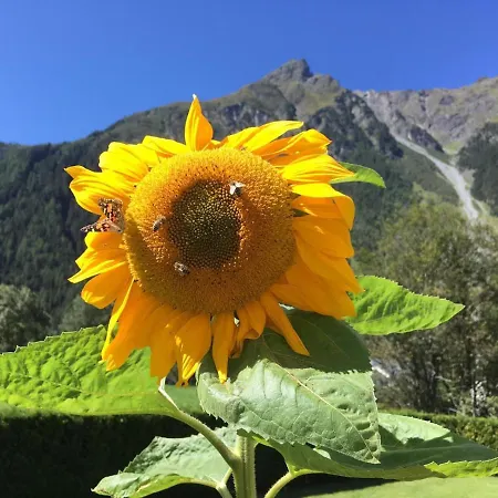 Haus Sonnwend 3* Sölden