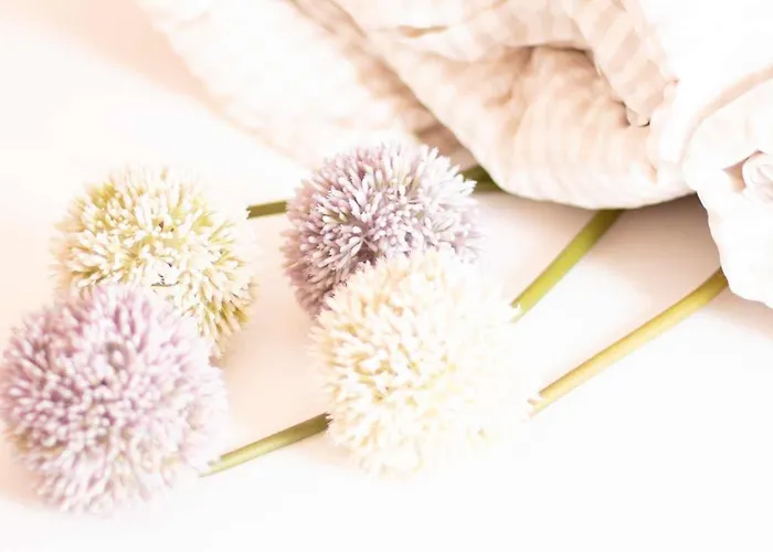 Haus Sonnwend Casa de hóspedes Sölden